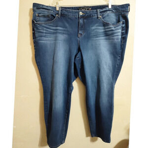 Torrid Skinny Denim Jeans Size 26